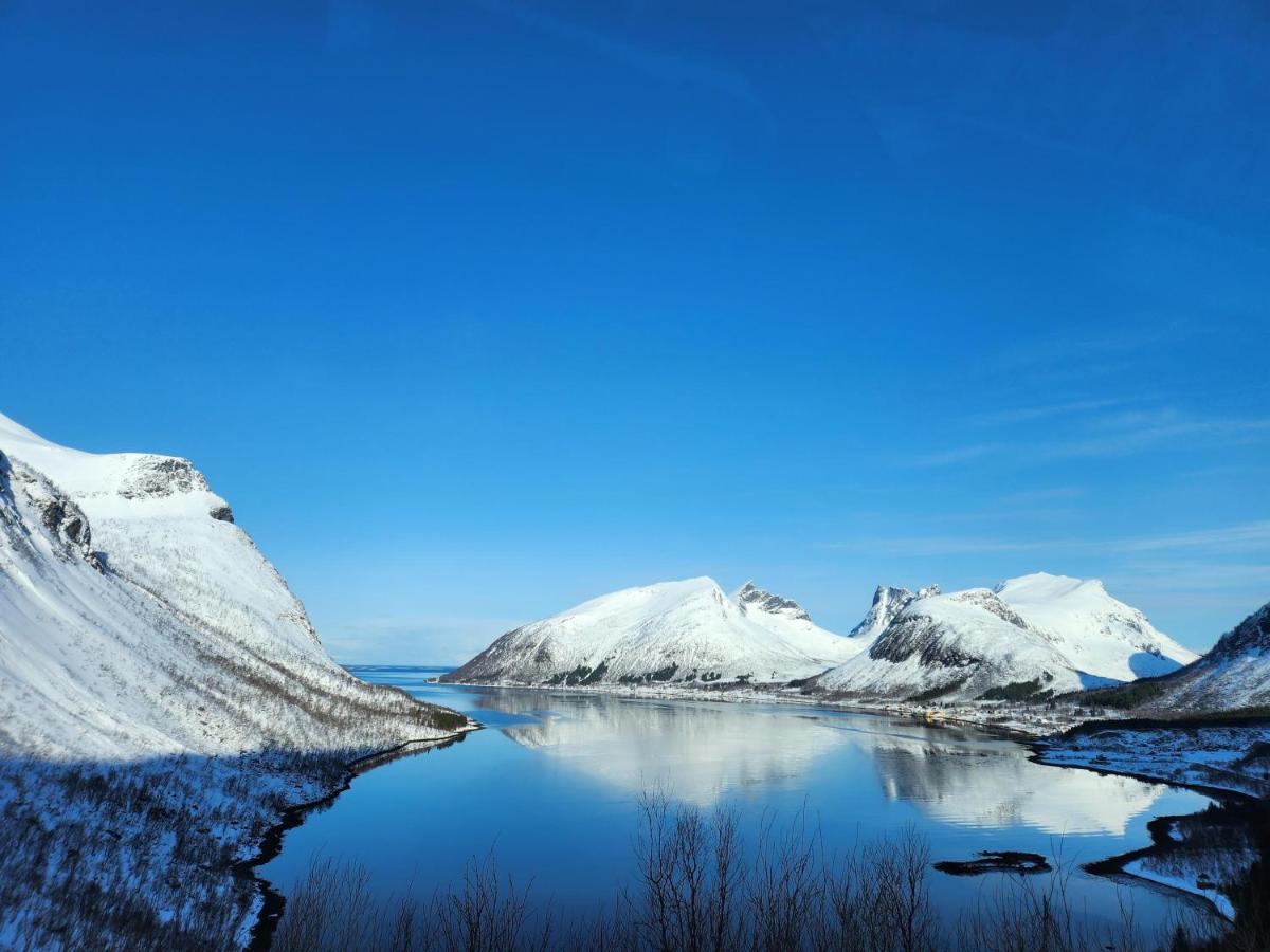 Senja Skaland Villa Melkarhola Eksteriør bilde