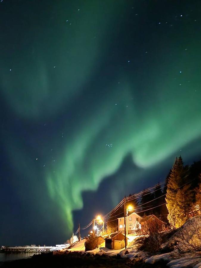 Senja Skaland Villa Melkarhola Eksteriør bilde
